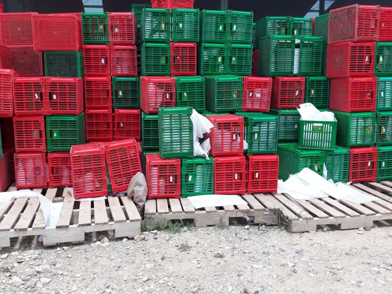 家具家电一体化商贸服务在家庭装修中的应用实践