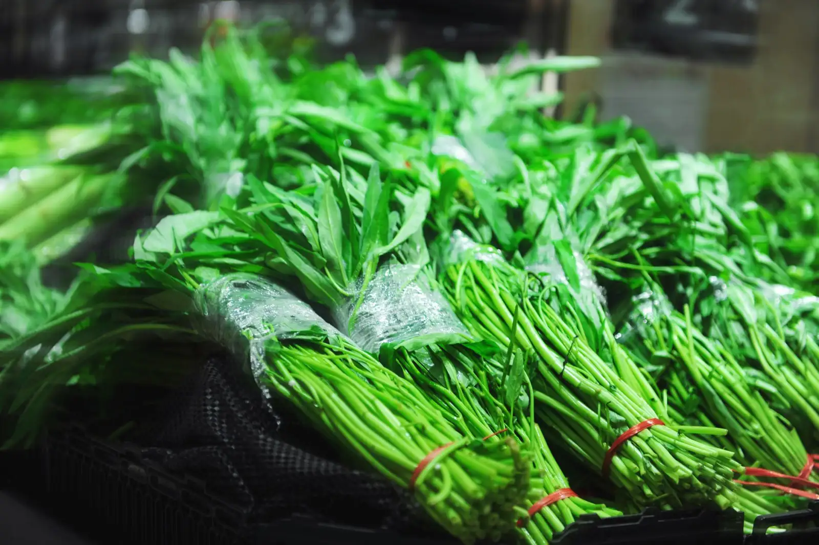 商贸服务视角下南宁家具家电零售渠道的整合趋势与运营策略分析