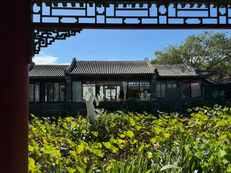 家具家电产品能效等级对比与家庭选购实用指南