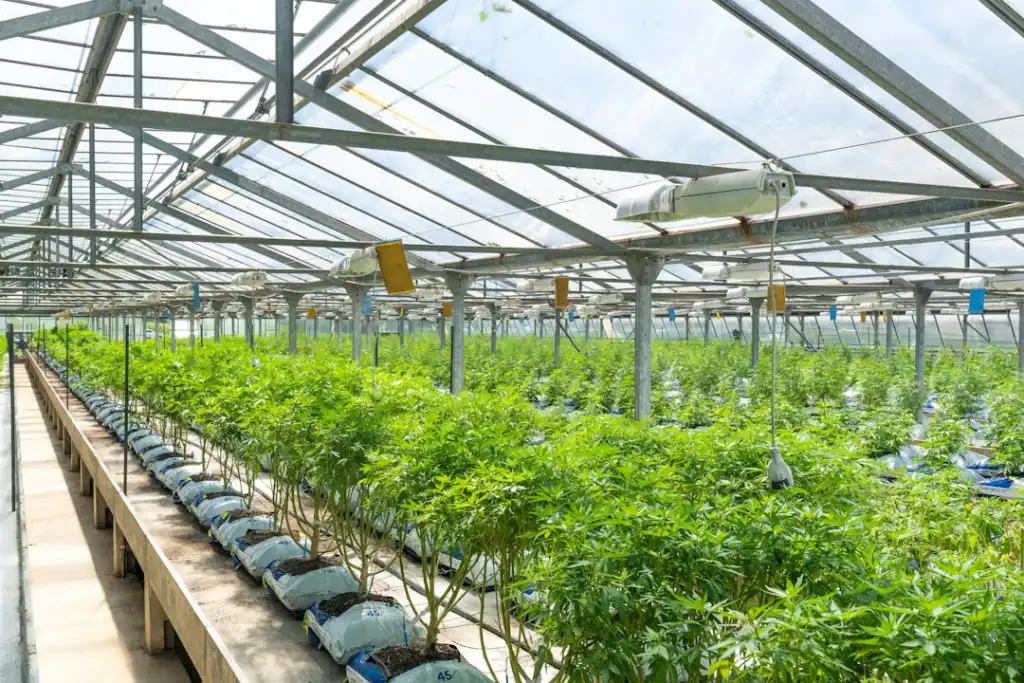 南宁友谊家商贸产品型号参数对比与选购指南