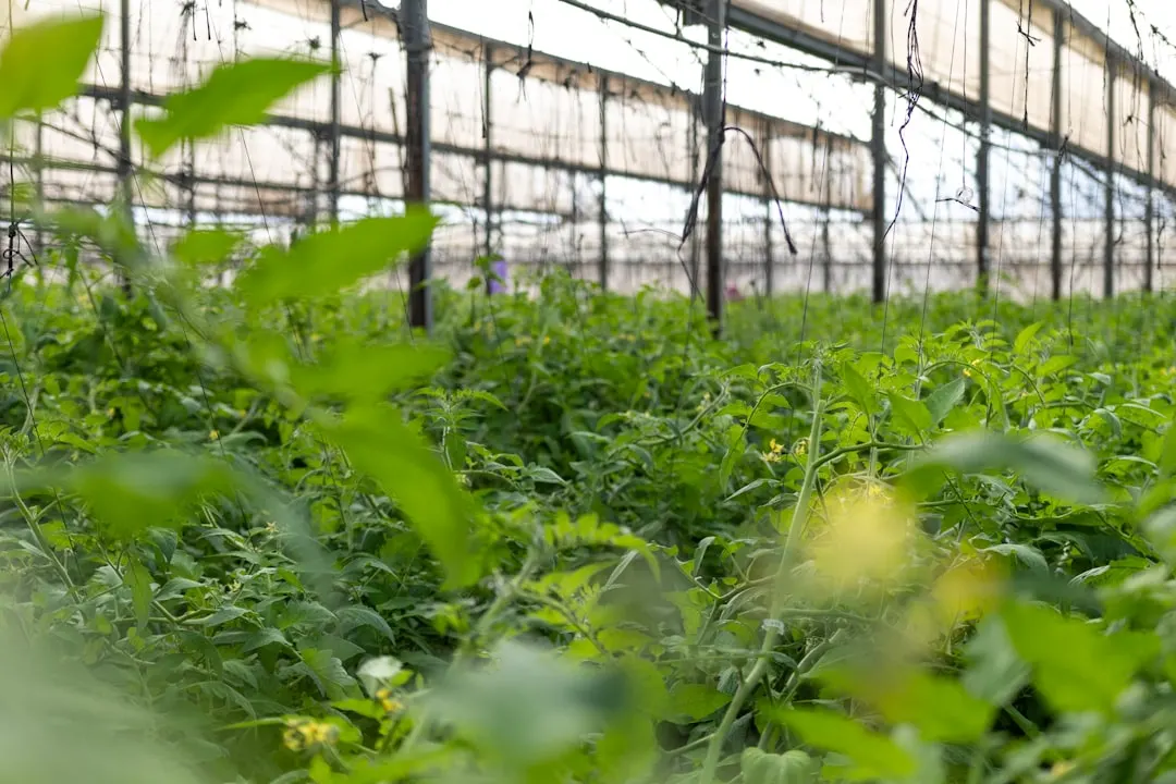 南宁友谊家商贸家具家电产品线全解析与适用场景推荐