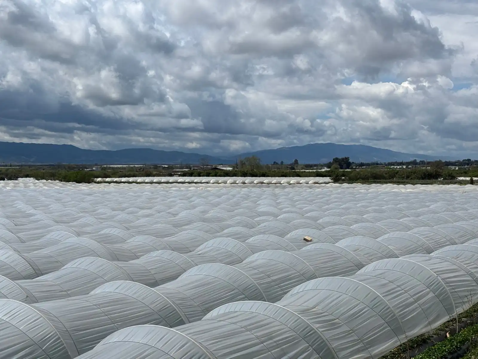 商贸服务场景下家具家电组合搭配方案设计